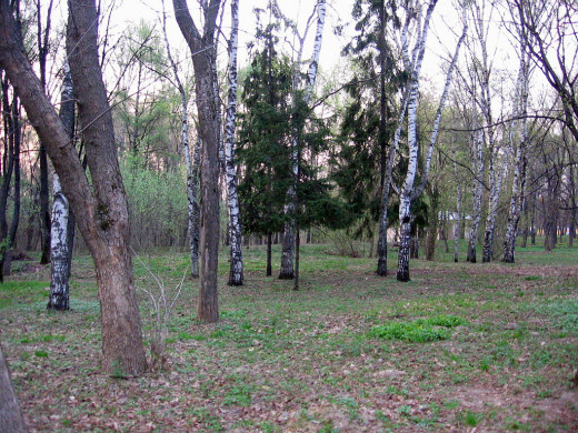 24014 (a): :1024x768